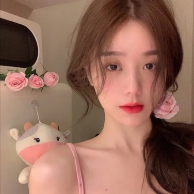 何以飞翔封面