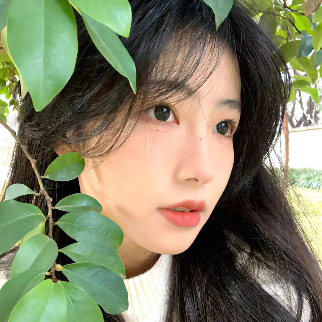 我要是有了枪封面